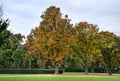 Parc du Cinquantenaire Ã¢â¬â Jubelpark. Brussels. Belgium Royalty Free Stock Photo